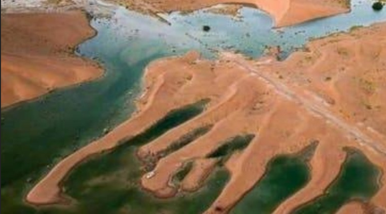 ظاهرة نادرة الحدوث.. صحراء الربع الخالي مغطاه بالمياه