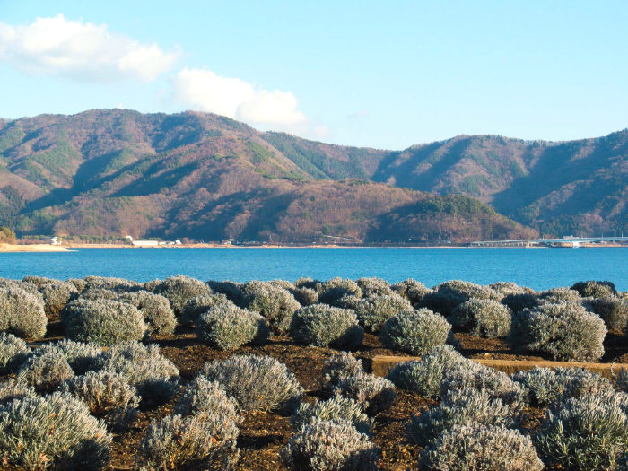 الجزر اليابانية