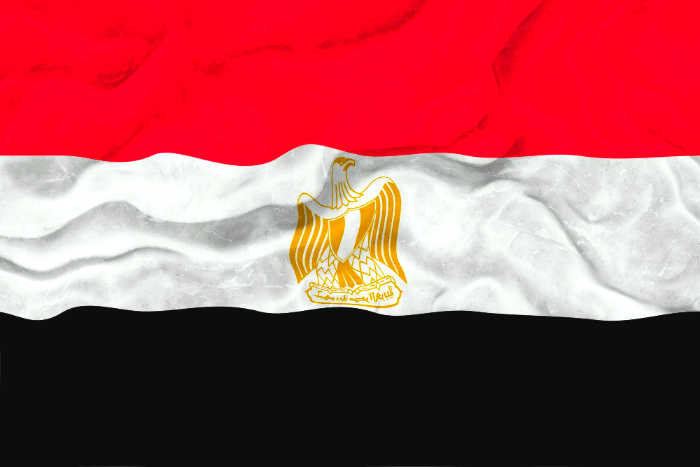 نتائج الحملة الفرنسية على مصر