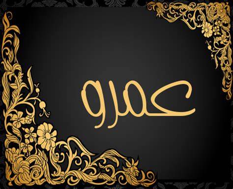 معنى اسم عمرو