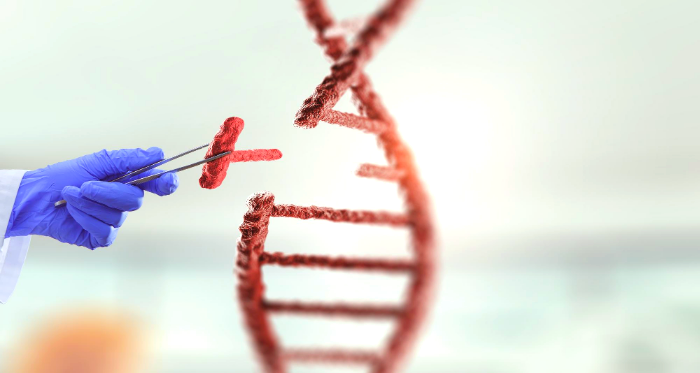 الفرق بين DNA و RNA