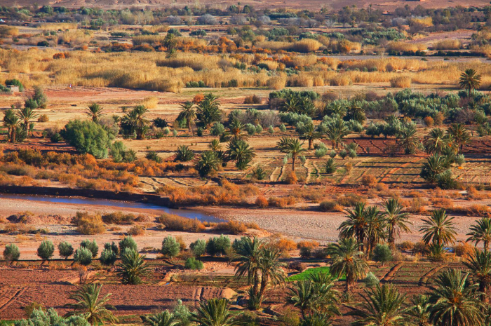 الطبيعة المغربية